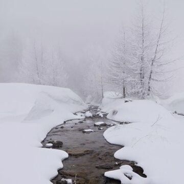 新年明けましておめでとうございます