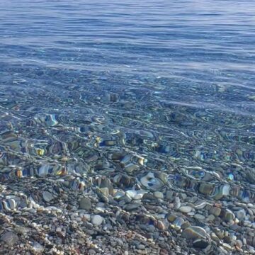 新年明けましておめでとうございます